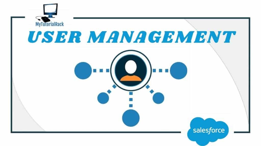 User Management In Salesforce