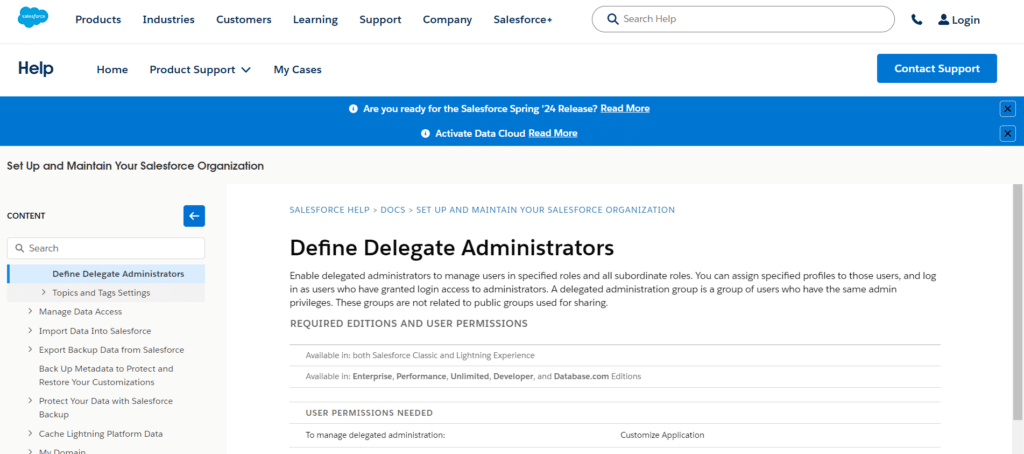 Delegate Administration in Salesforce
